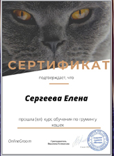 Сертификат грумера