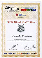 сертификат груминг сибирской кошки