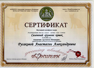 сертификат салонный груминг кошек