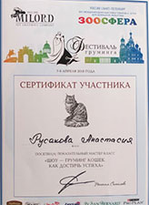 сертификат шоу груминг кошек