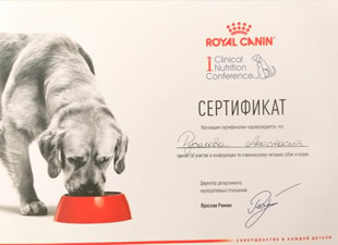 сертификт клиническое питание кошек